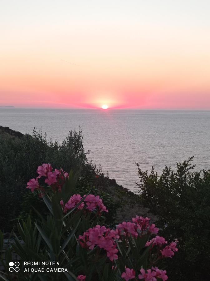Amar Seaside Διαμέρισμα Εξαμίλιο Εξωτερικό φωτογραφία