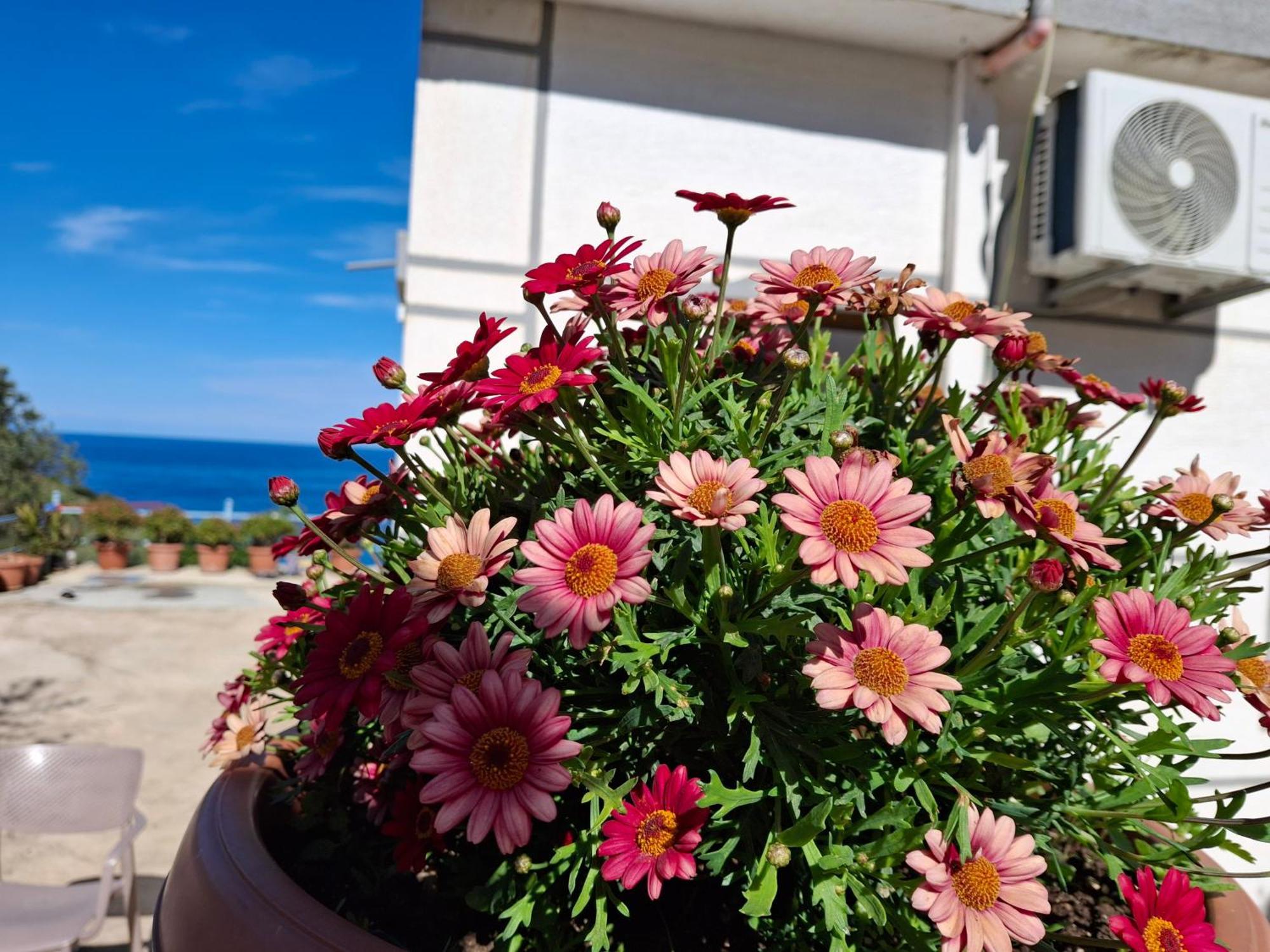 Amar Seaside Διαμέρισμα Εξαμίλιο Εξωτερικό φωτογραφία