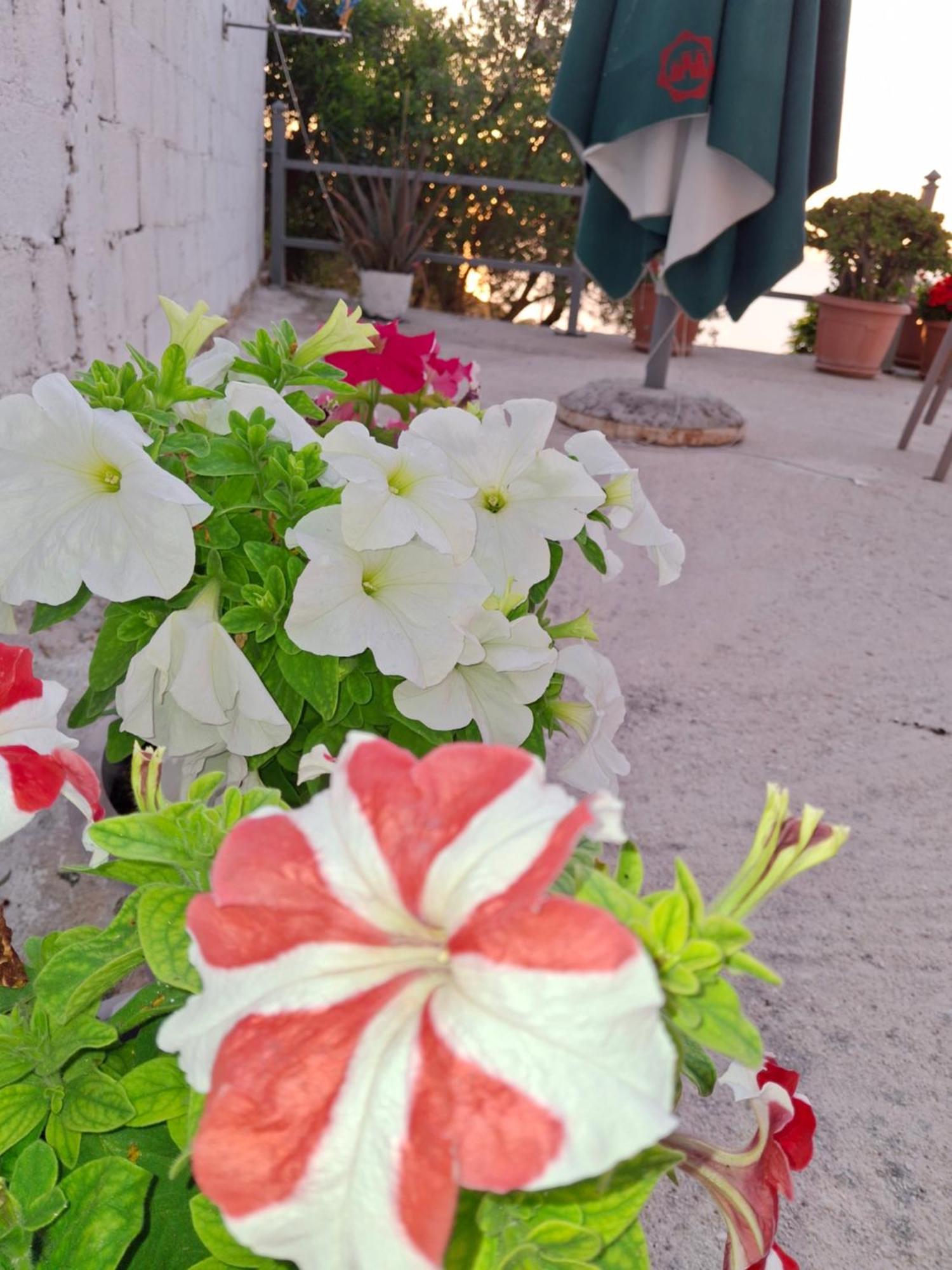 Amar Seaside Διαμέρισμα Εξαμίλιο Εξωτερικό φωτογραφία