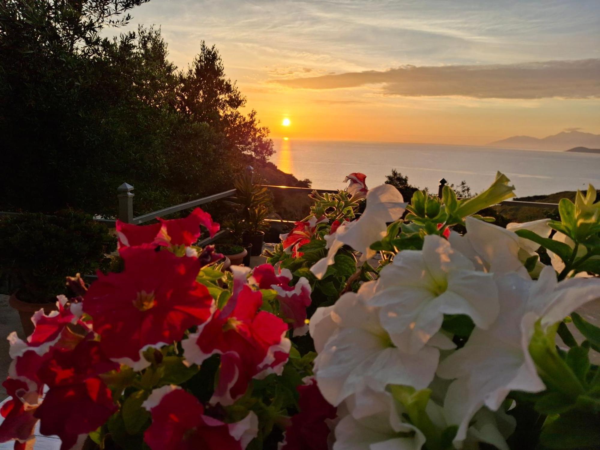 Amar Seaside Διαμέρισμα Εξαμίλιο Εξωτερικό φωτογραφία